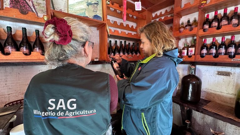 Fiscalización del SAG en Viña Fajardo de Copiapó por venta de chicha y vinos